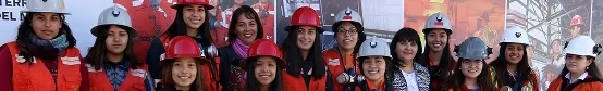 carreras mineria
