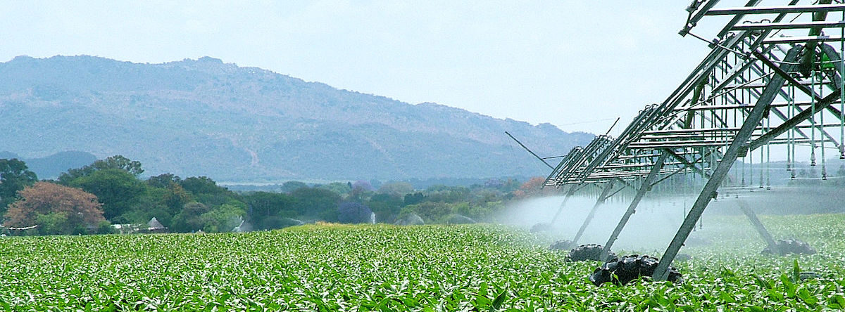Estudiar Técnico Agrícola o Agropecuario