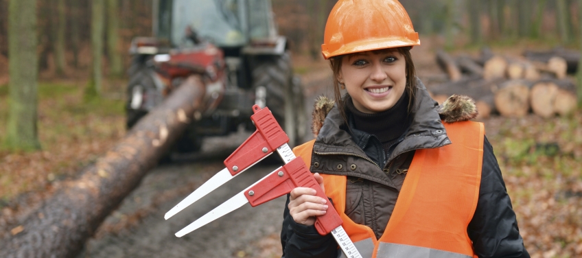 estudiar técnico forestal